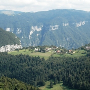 DSC_0986.jpg