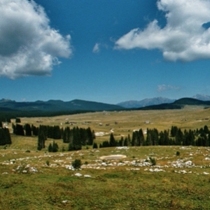 IMM004.jpg