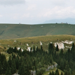 IMM013.jpg