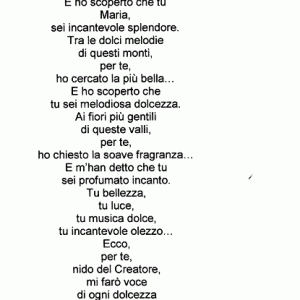 L'album delle mie origini