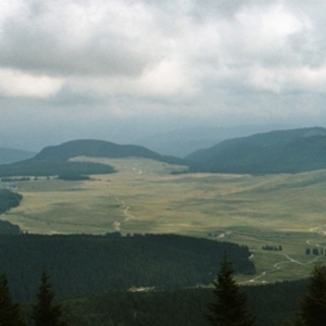 IMM015.jpg