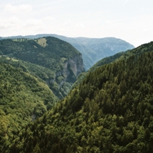 IMM017.jpg