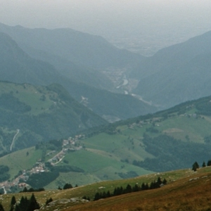 IMM023.jpg