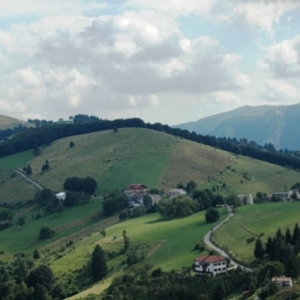DSC_0988.jpg