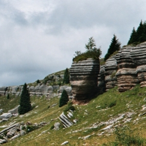 IMM005.jpg