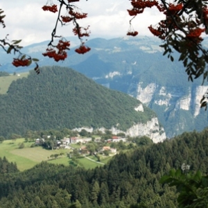 DSC_0990.jpg