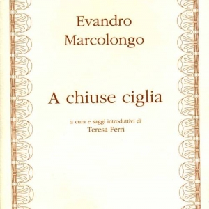 Copertina libro